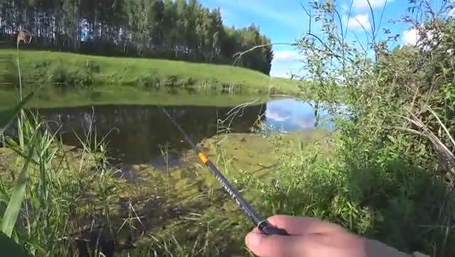 ЛОВЛЯ ЩУКИ В ЗАРОСШЕМ ПРУДИКЕ! Рыбалка на поппер и блесну. смотреть онлайн