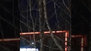 Жизнь бумеранг RANid