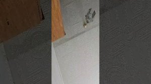 Дома.На карту 2201 8802 5072 6013
Быстро Банк
Перевод от 10 до 1000 руб.
Любой сумме будем рады.