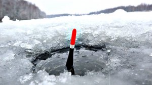 На что клюет лещ зимой лучше всего и чем его прикормить чтобы наловить много?