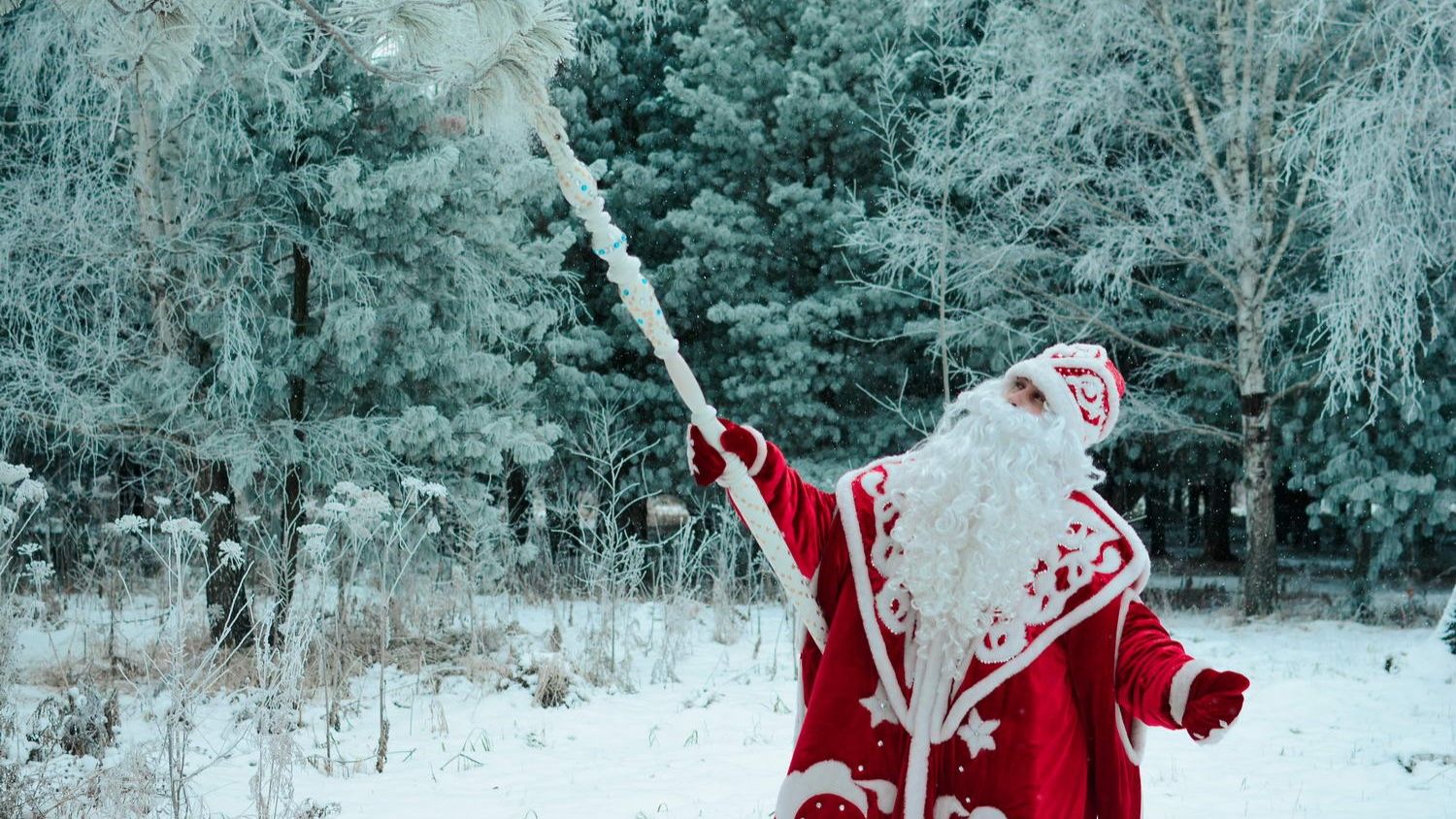 Российский дед мороз новенькое