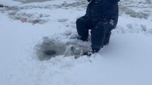 Вип зона. Актив.