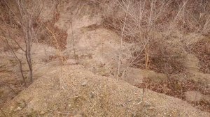 МОЮ СТАРЫЕ СОВЕТСКИЕ ХОСТЫ ПОЛНЫЕ  ЗОЛОТА