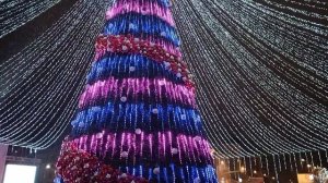 ЛНР, Луганск, ёлка 2025