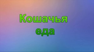 Кошачья еда