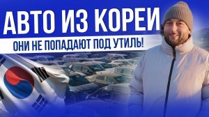 АВТО ИЗ КОРЕИ ДО 160лс: SM6, XM3, TRAILBLAZER, CASPER, MINI, MORNING, KORANDO, TRAX | ОПАСНЫЕ СХЕМЫ