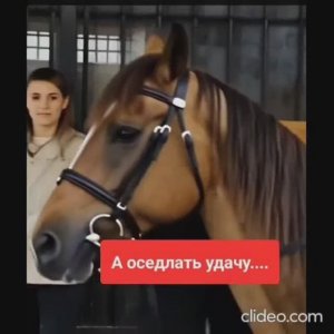 Rustamni tabriklayman 2026