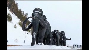 Оживление фотографии №65