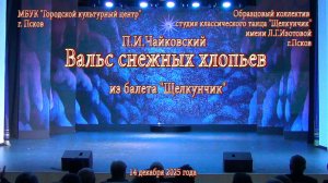 2025.12.14 10.Щелкунчик. Вальс снежных хлопьев