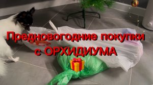 РАСПАКОВКА моих покупок с ОрХиДиУмА 😍 Обработка от вредителей и первый уход #орхидеи