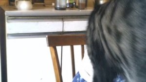 MelomanicaTV представляет : Нина Фокина. Сергей РАzoom Фокин. Живой дневник. Запись # 006. 2012 год.