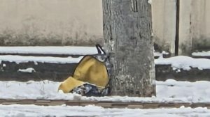 В Ставропольском крае ФСБ предотвратила теракт, целью которого должен был стать военнослужащий.