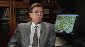 Как начиналась Новая хронология в МГУ. Не #луафасра #колмогоровгеннадий  #засечечник