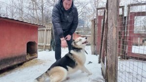 Подарки для тех, кого бросили