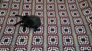 Вязовлог 47'25  Подарок// Плед для ребят// Разбираем крючки// 2 готовые работы