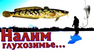 Как на что и где ловить налим в глухозимье в феврале -январе? Секреты ловли налима в глухозимье!