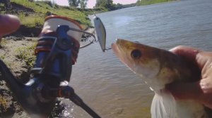 На рыбалку в последний день лета