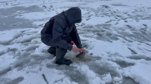 Паста желтый сыр