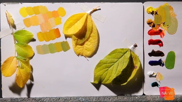 Как получить эффектный желто-зеленый колорит