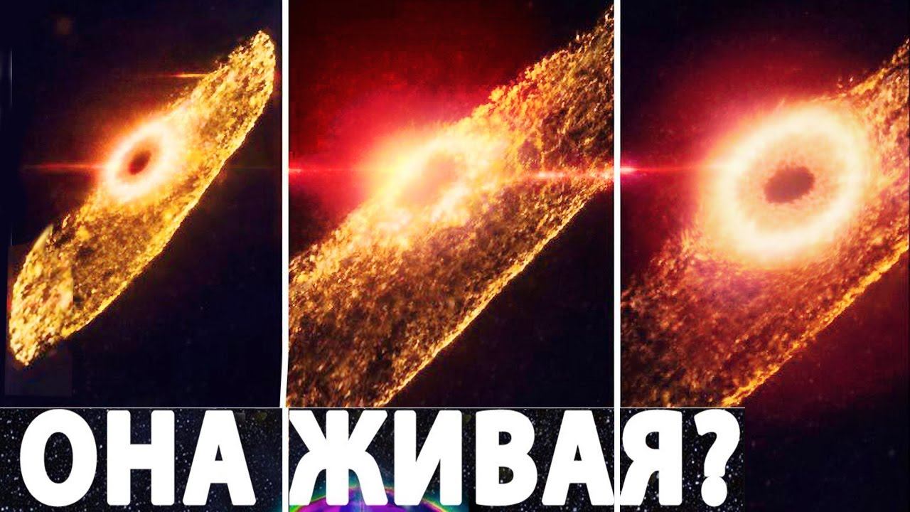 НАСА: Обнаружена инопланетная цивилизация – сигнал подтверждает? смотреть онлайн