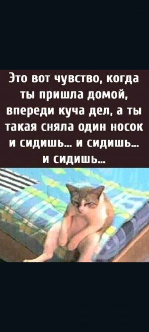 новый год научиться скоро всё случится сбудутся все сны !!!