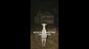 В ДОМЕ ПОЖИЛОЙ ПАРЫ. «Записи об аномалиях от К.О.Н.Т.У.Р. » №21 ЗАПИСЬ 053