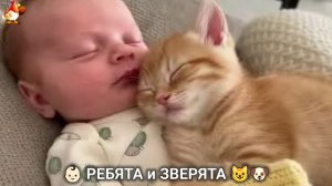 Ребята и зверята от ИИ милое видео для души и радости 👶🏻😺🐶 (14)