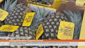 Волонтёры доставили бойцам в ДНР и Запорожскую область 20 тонн фруктов