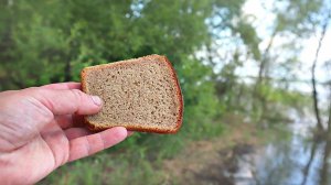 Какая рыба обожает хлеб? Какая рыба ловится на хлеб лучше всего? Можно ли поймать щуку на хлеб?