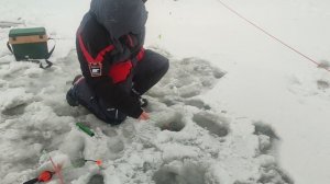 video5366298689864240433