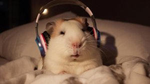 ИИ АНИМАЦИЯ