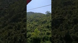 Остров Обезьян