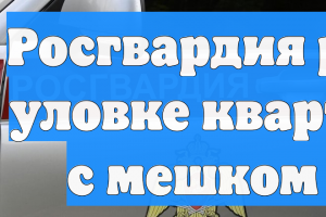 Росгвардия сообщила об уловках квартирных воров с мешком мусора и нитками