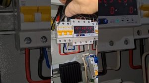 1000043491.mp4 (Собака слушает о протяжке болтовых соединений в водном электрощите в гараже у дома)