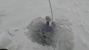 Разведка по новым местам, на реке Нура.