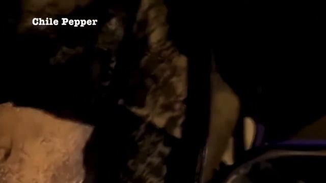 Осторожно! Резко появляется запах сырой земли! ВАТА ПЛ смотреть онлайн