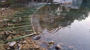 Необычный метод лова рыбы / Супертехника рыбалки / Самая красивая техника в мире /