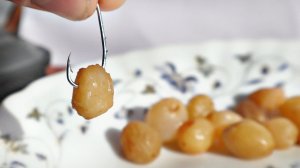 ВОООТ ЭТО НАЖИВКА!  на это клюет крупняк карась карп лещ от 1 кг!!Какая рыба ловиться на изюм?