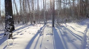 Проверка капканов часть 〽️ 9.