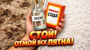Невероятный способ очистить ковер без химии: результат вас удивит!