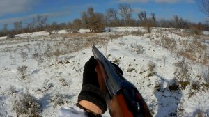 ОХОТА ПО ПЕРВОМУ СНЕГУ НА ЭКСТРИМАЛЬНОГО ЗАЙЦА / ОТКУДА ЗДЕСЬ ВЗЯЛАСЬ УТКА?