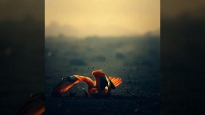 Уже не важно