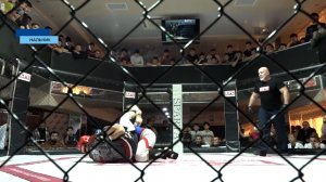 Прошел всероссийский мастерский турнир лиги EFC по смешанному полноконтактному единоборству