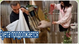 САМВЕЛ АДАМЯН, ГАРИК И КЕРРИ, ВИДИМО КИПАРИС НЕ ПОНРАВИЛСЯ, СУЕТА ПРОДОЛЖАЕТСЯ.. ,