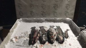 улов форели