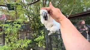 Это НАДО ВИДЕТЬ! Кеша с Жорой устроили просто ИСТЕРИКУ, когда я пришла к ним с Анфисой!