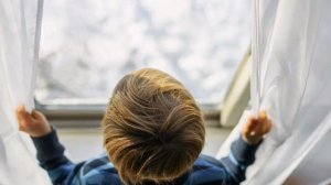 Пересказ рассказа "Тёплая кормушка"