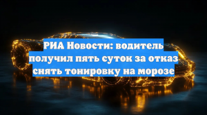 РИА Новости: водитель получил пять суток за отказ снять тонировку на морозе