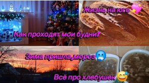26-12-2025 Переехали на юг/Купили дом на юге/Мои будни/Хлеб/Обед/Холодец/Посуда/Мороз на юге/