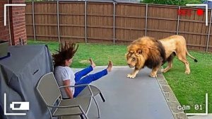 Моменты с Животными Один на Миллион